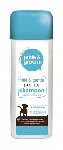 Picture of PRIDE & AND GROOM SHAMPOO 300ML