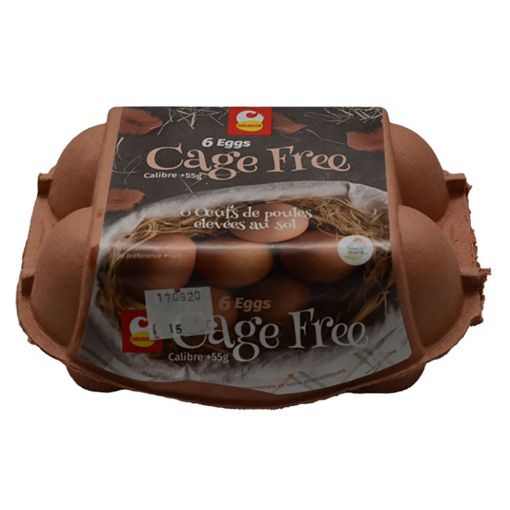 Picture of OEUDOR CAGE FREE X6