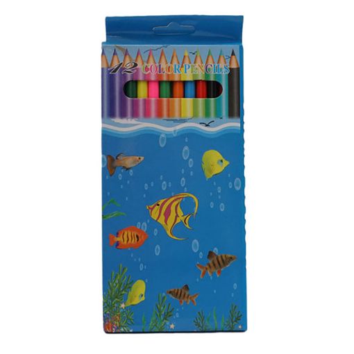 Picture of CRAYON COULEUR LONG X12