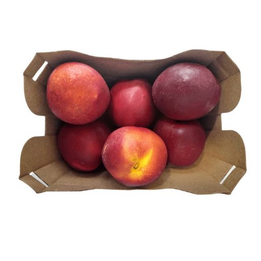 Picture of NECTARINE PUNNET 500G RFF