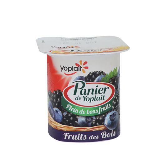 Picture of YOPLAIT YAOURT AUX FRUITS DES BOIS 125ML