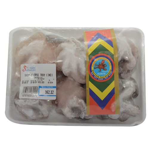 Picture of ISLAND SEAFOOD BABY OCTOPUS