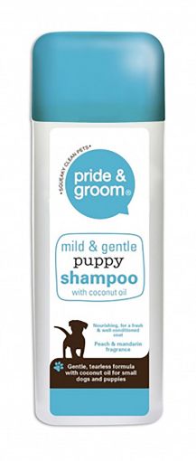 Picture of PRIDE AND GROOM SHAMPOO 300ML