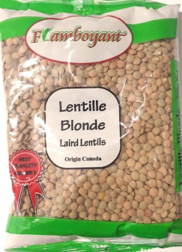 Picture of KING BRAND LENTILLE BLOND 500GMS