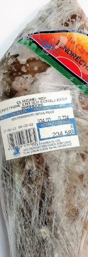 Picture of TENDRECHERE CAPITAINE ENTIER