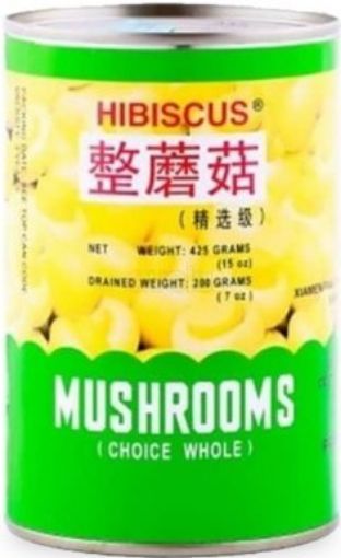 Picture of HIBISCUS CHAMPIGNON HIBISCUS P S 425G