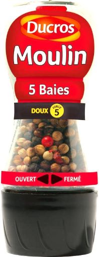 Picture of DUCROS MOULIN 5 BAIES 26G