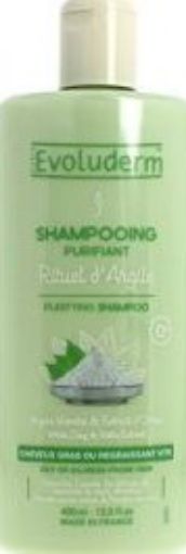 Picture of EVOLUDERM SHAMPOOING RITUEL DARGILE 400ML