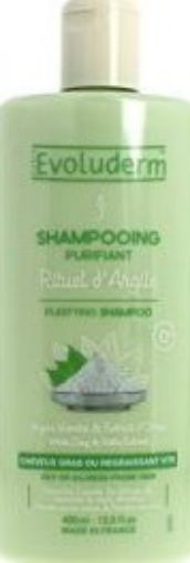 Picture of EVOLUDERM SHAMPOOINGING RITUEL D'ARGILE 400ML