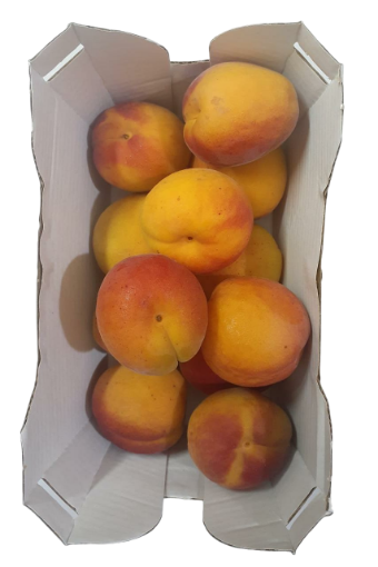 Picture of APRICOT PUNNET 500G RFF