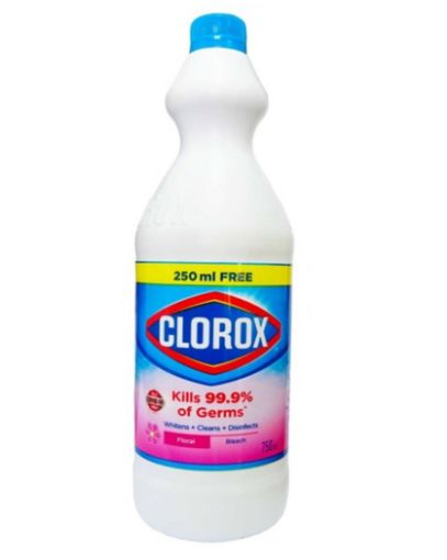 Picture of CLOROX FLORAL BLEACH 750ML PLUS 250ML FREE