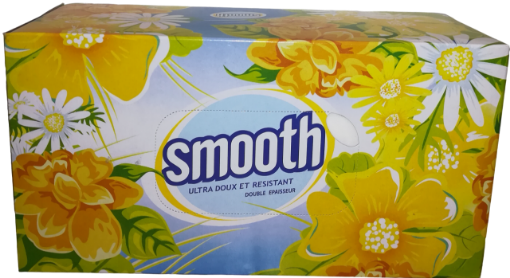 Picture of SMOOTH FACIAL TISSUE X 200