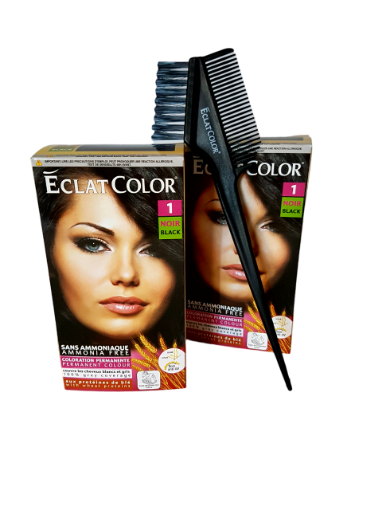 Picture of ECLAT COLOR 100 ML NO 1 NOIR