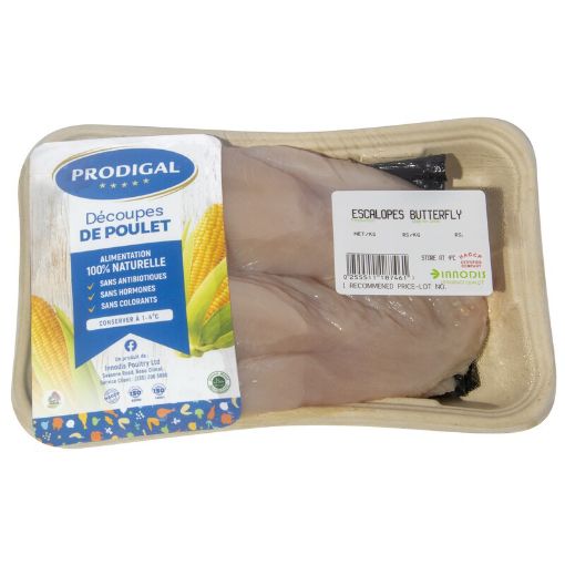 Picture of PRODIGAL ESCALOPE BUTTERFLY