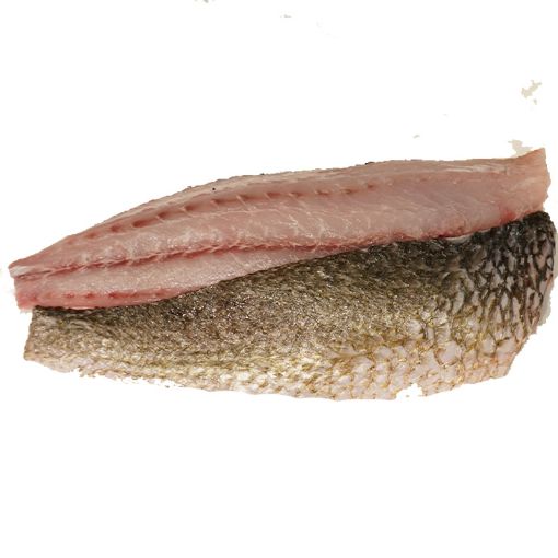 Picture of C.HOOK BAR TROPICAL FILLET