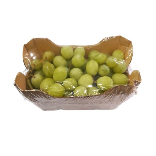 Picture of RAISIN VERT SEEDLESS PUNNET 500G RFF