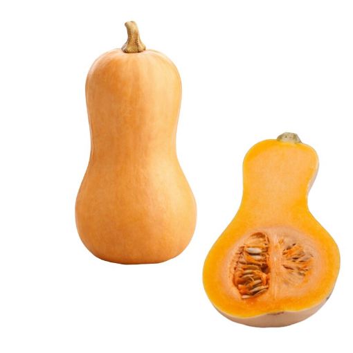 Picture of BUTTERNUT