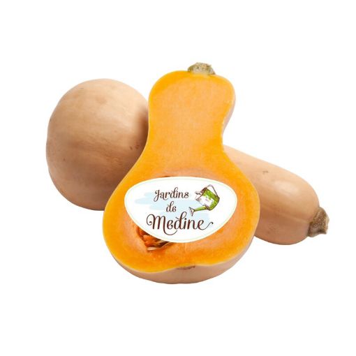 Picture of JARDIN DE MEDINE SLICED BUTTERNUT