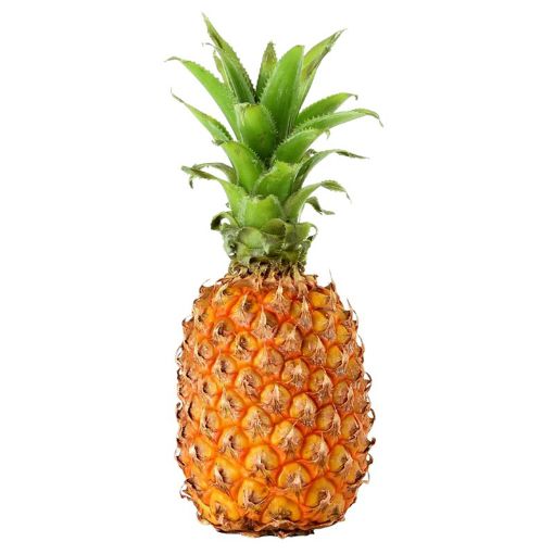 Picture of ANANAS