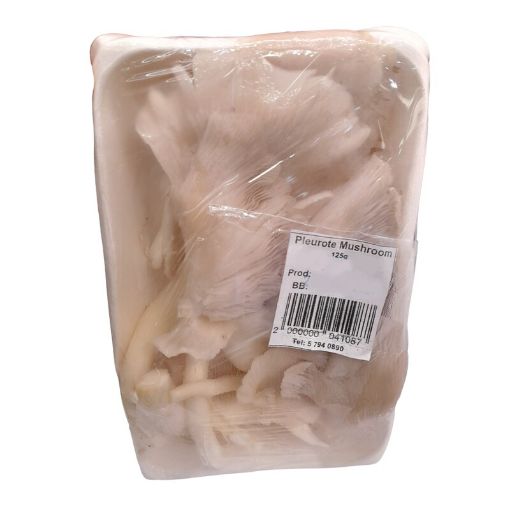 Picture of CHAMPIGNON PLEUROTTE RAMSURRUN 125G