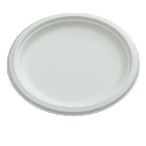Picture of BIO ROUND PAPER PLATE 10INCH X10