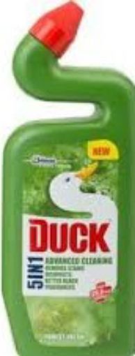 Picture of TOILET DUCK ADVANCE FOREST FRESH 500ML