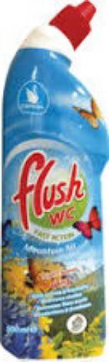 Picture of FLUSH WC MOUNTAIN FRESH 500ML