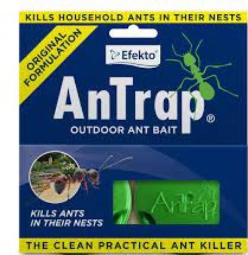 Picture of ANTRAP ANT BAIT X 2 GREEN