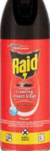 Picture of RAID CRAWLING INSECT KILLER 300ML