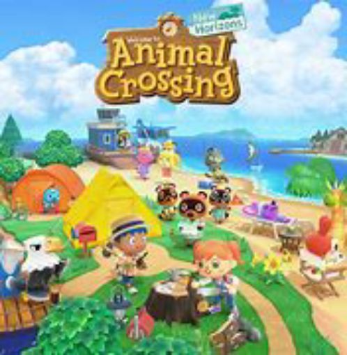 Picture of SWITCH ANIMAL CROSSING HORIZON