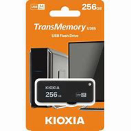 Picture of KIOXIA 256GB U365 3 2 FL DRIVE