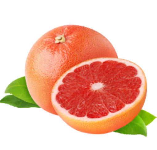 Picture of GRAPEFRUIT FILLET 500G RFF