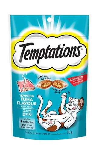 Picture of TEMPTATIONS SAVOURY SALMON 75G