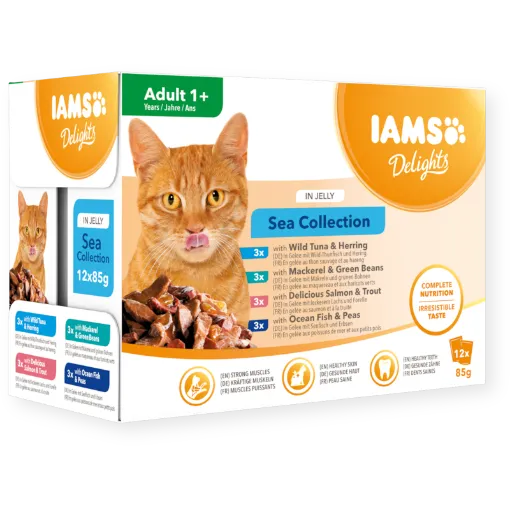 Picture of CATMOR LAMB CHUNKS IN GRAVY ADULT WET CAT FOOD 70G