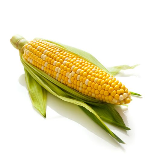 Picture of VEG ME CORN ON THE COB