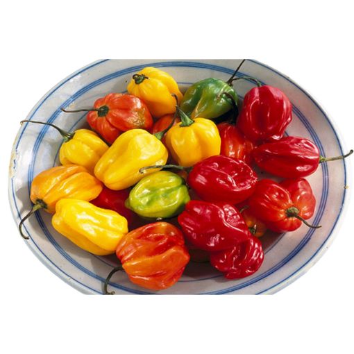 Picture of ZARDIN LA LAURA CHILI HARABENO 100G