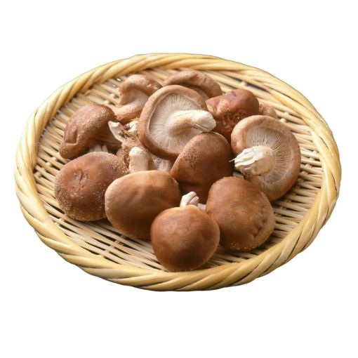 Picture of PGD CHAMPIGNON SHITAKE