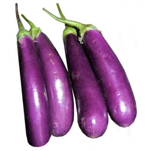 Picture of MAURIGAP BRINJAL 500G