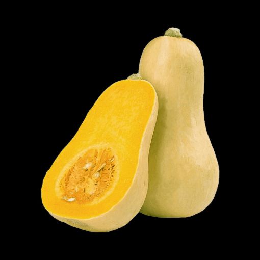 Picture of FIELD GOOD BUTTERNUT