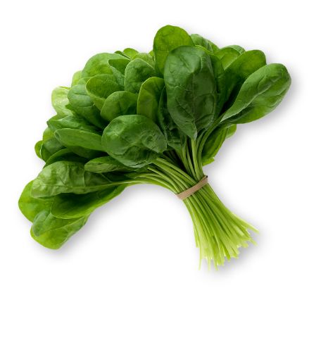 Picture of ZARDIN LA LAURA SPINACH 80G