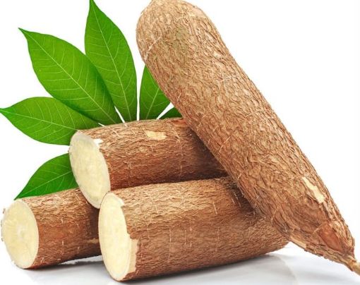 Picture of CKY GREEN MANIOC