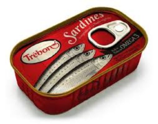 Picture of TREBON SARDINES IN OIL 125G