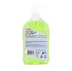 Picture of DES ILES ANTIBACTERIAL HAND WASH ALOE VERA EUCALYPTUS