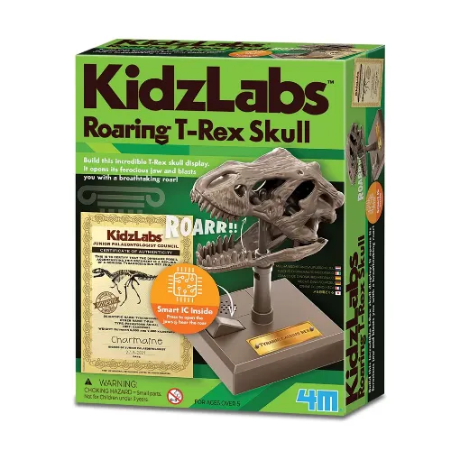 Picture of 4M KIDZLABS DINO SKULL