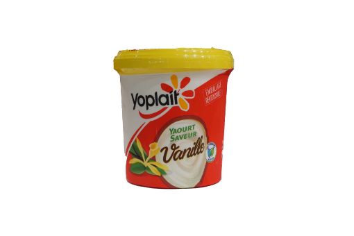 Picture of YOPLAIT YAOURT P.FAM VANIL 1KG