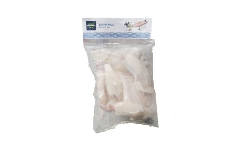 Picture of WINNERS SQUID 10/20 500G