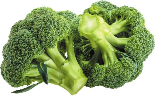 Picture of FIELD GOOD BROCOLI IMPORTE