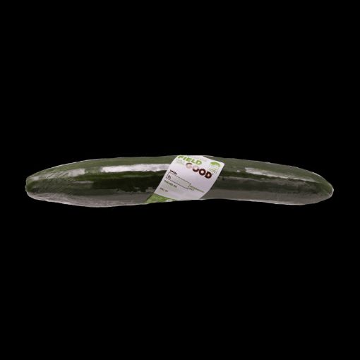 Picture of FIELD GOOD ENGLISH CUCUMBER