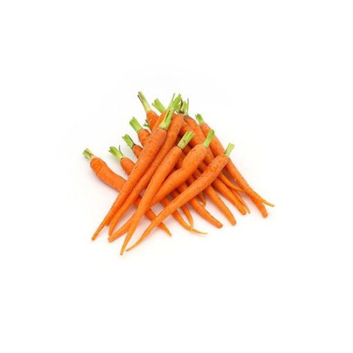 Picture of BABY CARROT WITH TOP