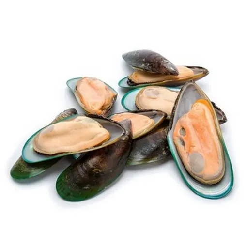 Picture of FZ HALF SHELL GREEN MUSSEL 1KG